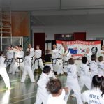 Family Martial Arts in Australia